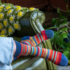Zkano Crew Medium Women's Multistripe - Organic Cotton Socks Crew - Navy organic-socks-made-in-usa